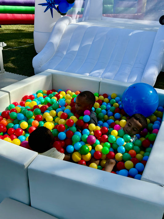 Next Level Ball Pit